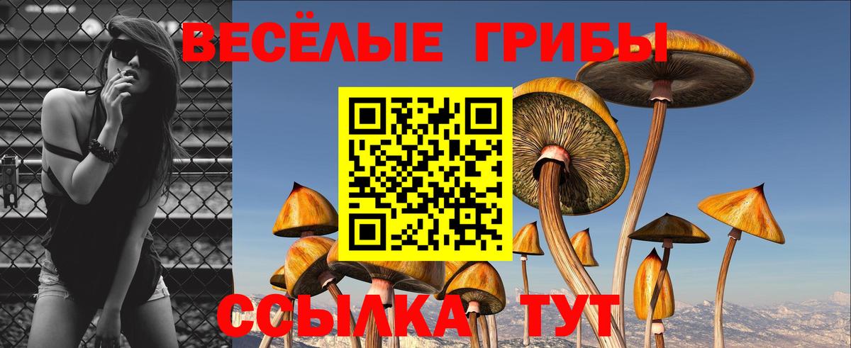 Избербаш  Псилоцибиновые грибы мухоморы  Вход с VPN 